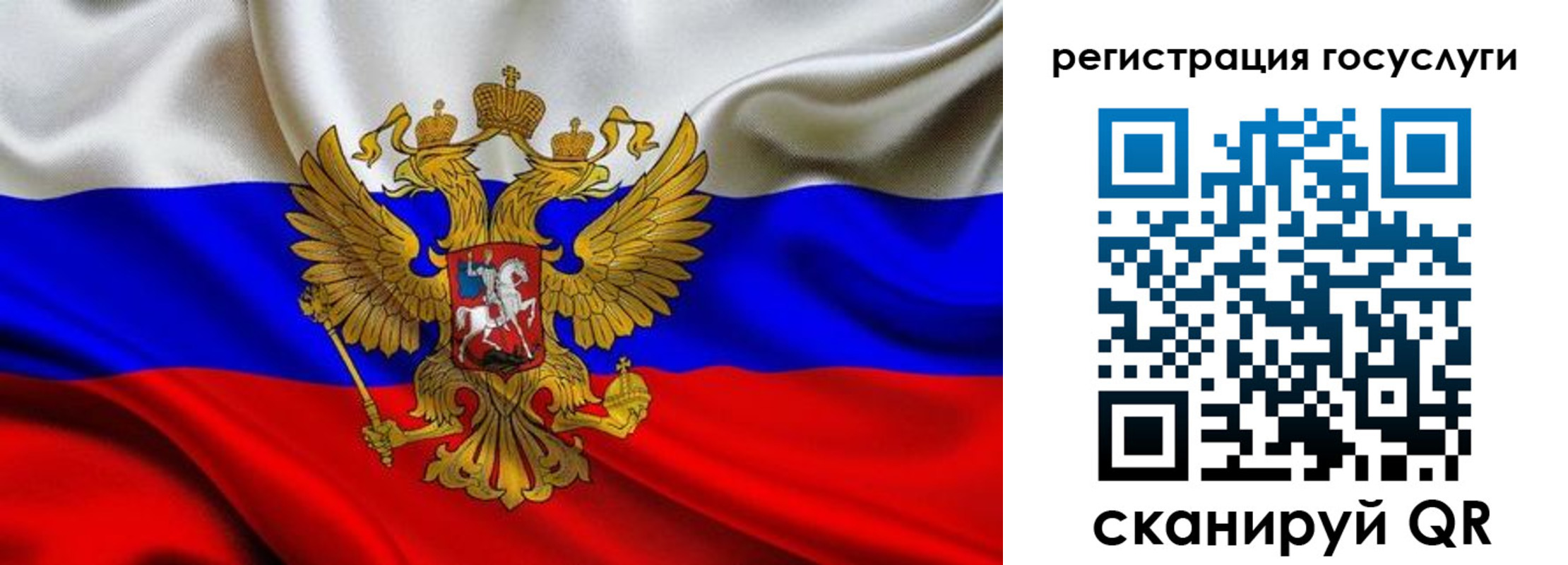 прописка гарантия в Щиграх